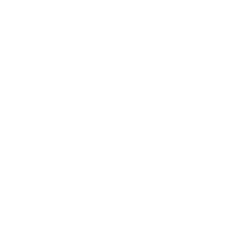 74家 2010