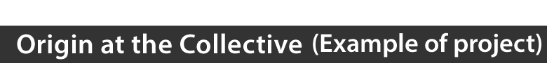 The United States Origin at the Collective(Example of project)