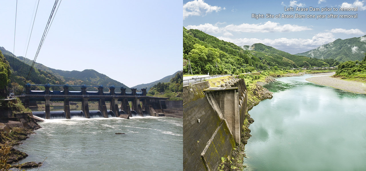 Left: Arase Dam prior to removal Right: Site of Arase Dam one year after removal