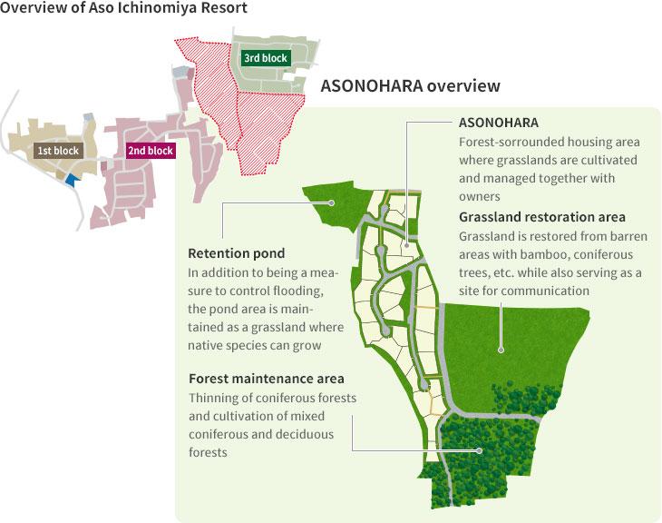 Overview of Aso Ichinomiya Resort